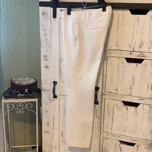 Ann Taylor Devin Straight Leg